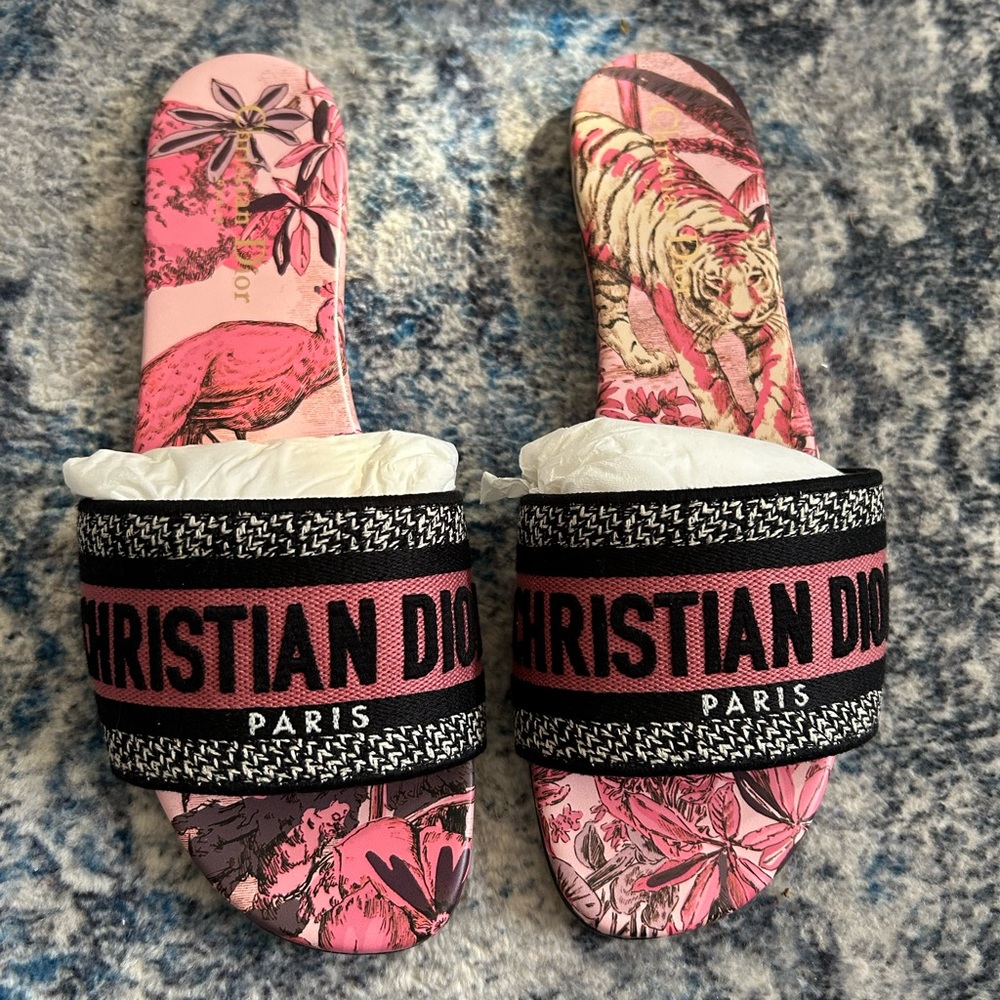 Christian Dior Dway Slides Multicolor